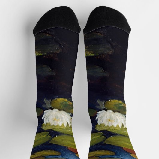 Albert Edelfelt - Water Lilies, Studie Sokken (Top)