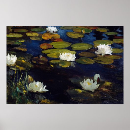 Albert Edelfelt - Waterlelies, studie Poster (Voorkant)