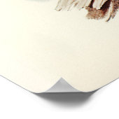 Albert Lyre-Bird (Menura Alberti), geïllustreerd d Poster (Hoek)