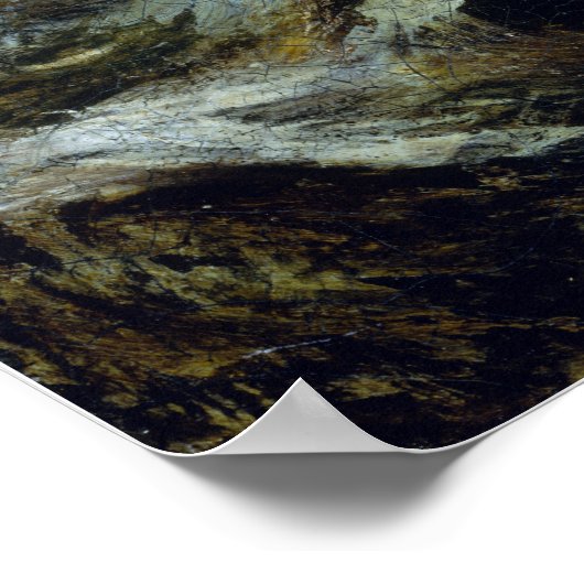 Albert Pinkham Ryder Flying Dutchman Poster (Hoek)