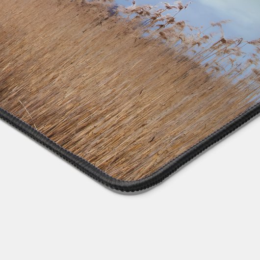 Albert Schweitzer Inspirerend Quote "Truth" Bureaumat (Hoek)