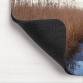 Albert Schweitzer Inspirerend Quote "Truth" Muismat (Hoek)