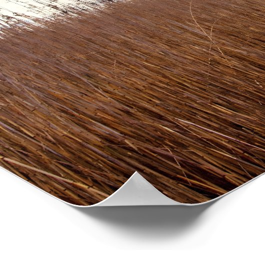 Albert Schweitzer Inspirerend Quote "Truth" Poster (Hoek)