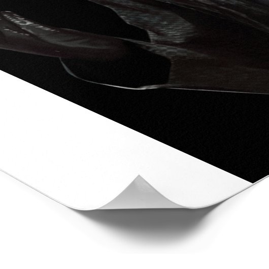 Albert Wesker Poster (Hoek)