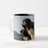 Alberta, Canada 2 Tweekleurige Koffiemok (Voorkant links)