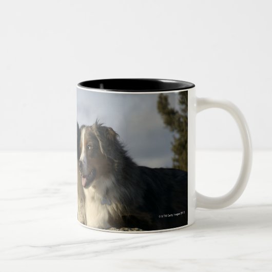 Alberta, Canada 2 Tweekleurige Koffiemok (Rechts)