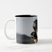 Alberta, Canada 2 Tweekleurige Koffiemok (Links)