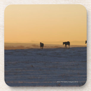 Alberta, Canada 3 Drankjes Onderzetter