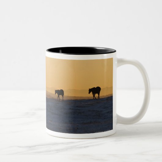 Alberta, Canada 3 Tweekleurige Koffiemok (Rechts)