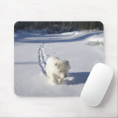 Alberta, Canada Muismat (Met muis)