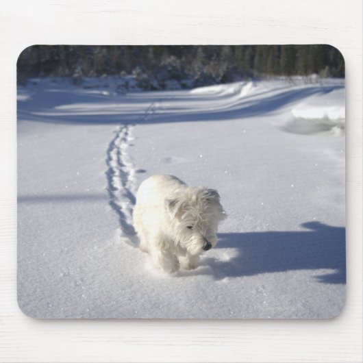 Alberta, Canada Muismat (Voorkant)