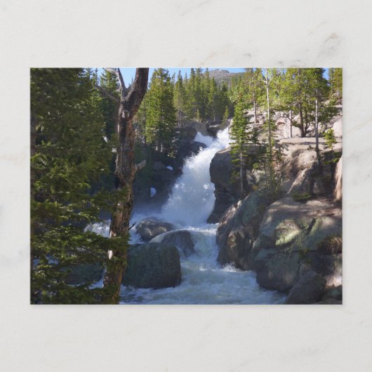 Alberta Falls I Briefkaart (Voorkant)