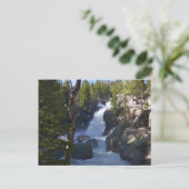Alberta Falls I Briefkaart (Staand voorkant)