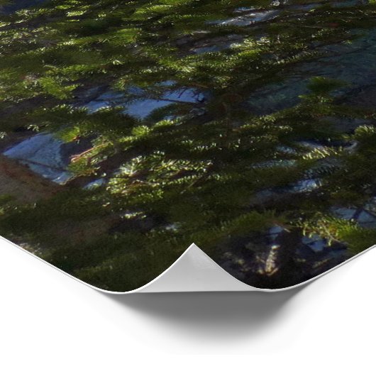 Alberta Herfsten I Poster (Hoek)