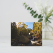 Alberta Herfsten in het najaar in het Rocky Mounta Briefkaart (Staand voorkant)