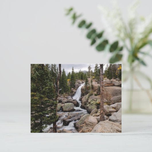 Alberta Herfsten in het nationaal park Rocky Mount Briefkaart (Staand voorkant)