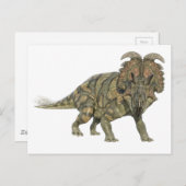 Albertaceratops Dinosaur die naar het front kijkt Briefkaart (Voorkant / Achterkant)