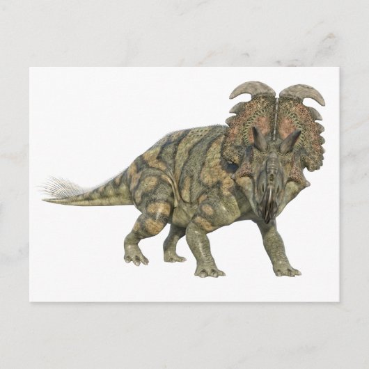 Albertaceratops Dinosaur die naar het front kijkt Briefkaart (Voorkant)