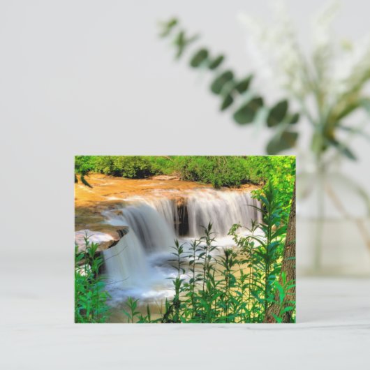 Alberts Herfsten, Thomas, West Virginia Briefkaart (Staand voorkant)