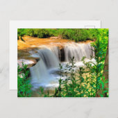 Alberts Herfsten, Thomas, West Virginia Briefkaart (Voorkant / Achterkant)