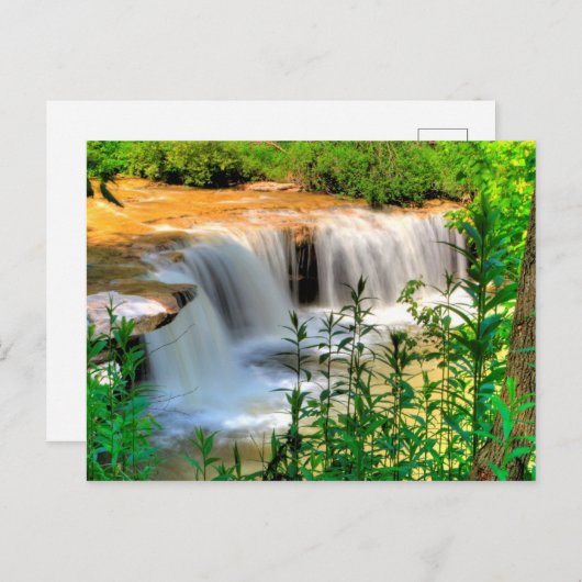 Alberts Herfsten, Thomas, West Virginia Briefkaart (Voorkant / Achterkant)