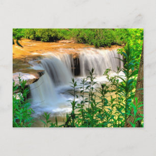 Alberts Herfsten, Thomas, West Virginia Briefkaart