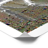 Albescent Print (Hoek)