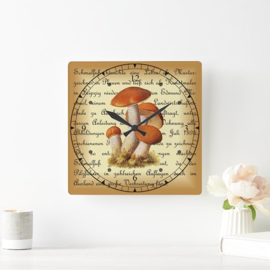 Albin Schmalfuß ~ Espenrotkappe1~ paddenstoelen Vierkante Klok (Huis)