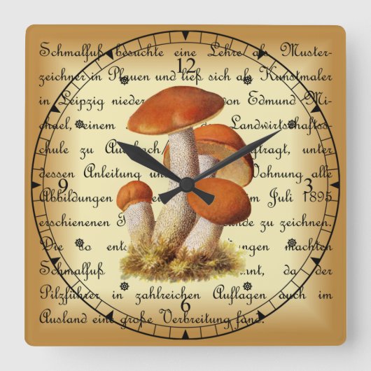 Albin Schmalfuß ~ Espenrotkappe1~ paddenstoelen Vierkante Klok (Voorkant)