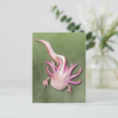 Albino Axolotl "Walking Fish" Art Briefkaart (Staand voorkant)