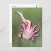 Albino Axolotl "Walking Fish" Art Briefkaart (Voorkant / Achterkant)