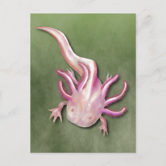 Albino Axolotl "Walking Fish" Art Briefkaart (Voorkant)