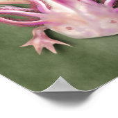 Albino Axolotl "Walking Fish" Art Poster (Hoek)