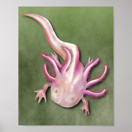 Albino Axolotl "Walking Fish" Art Poster (Voorkant)