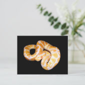 Albino Ball Python Briefkaart (Staand voorkant)