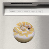 Albino Ball Python Magnet (Insitu (Vaatwasser))