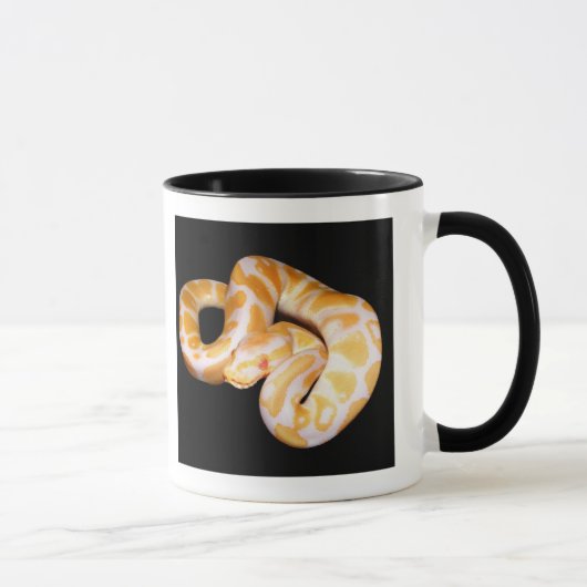Albino Ball Python Mok (Rechts)