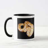 Albino Ball Python Mok (Links)