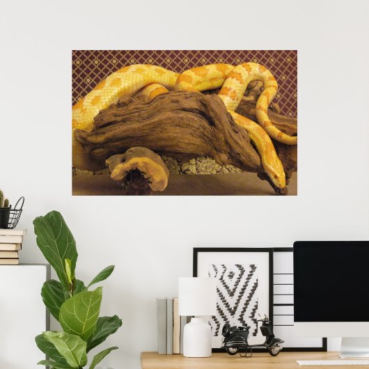 Albino Corn Snake Poster (Thuiskantoor)