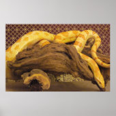 Albino Corn Snake Poster (Voorkant)