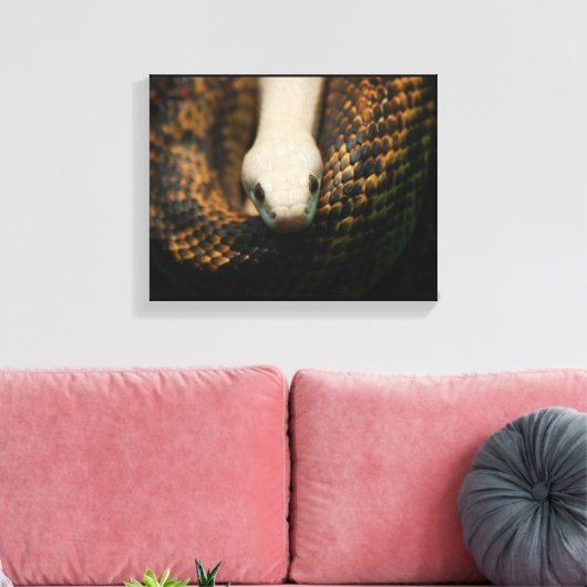 Albino Cornsnake op Canvas (Insitu (Woonkamer))