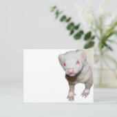 Albino Ferret Afbeelding Briefkaart (Staand voorkant)