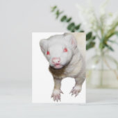 Albino Ferret Afbeelding Briefkaart (Staand voorkant)