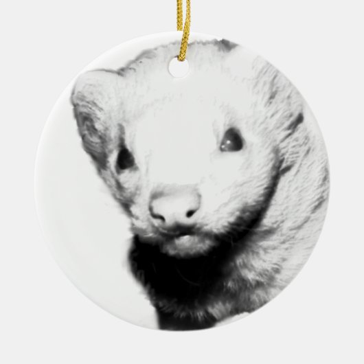 Albino Ferret Afbeelding Keramisch Ornament (Voorkant)