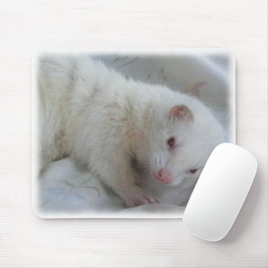 Albino Ferret Afbeelding Muismat (Met muis)