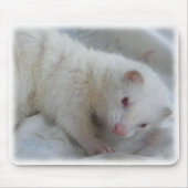 Albino Ferret Afbeelding Muismat (Voorkant)