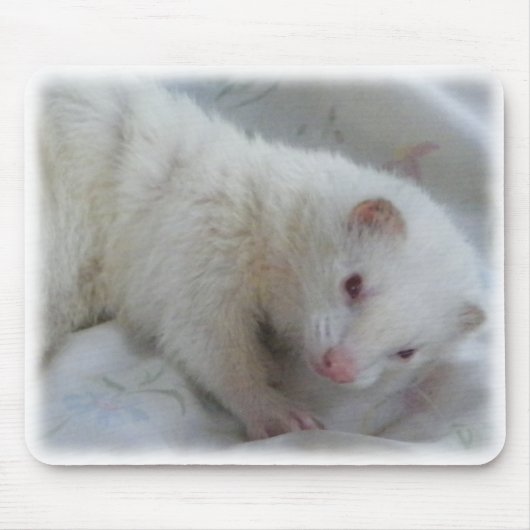 Albino Ferret Afbeelding Muismat (Voorkant)