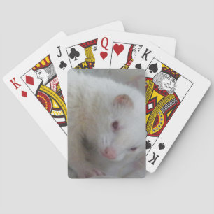 Albino Ferret Afbeelding Pokerkaarten