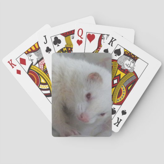 Albino Ferret Afbeelding Pokerkaarten (Achterkant)