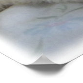 Albino Ferret Afbeelding Poster (Hoek)